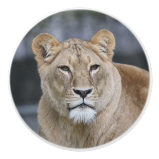 Lion 004 keramische knop (Voorkant)
