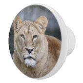 Lion 004 keramische knop (Rechts)