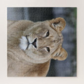 Lion 004 legpuzzel (Horizontaal)