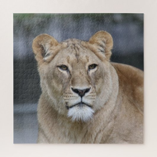 Lion 004 legpuzzel (Verticaal)