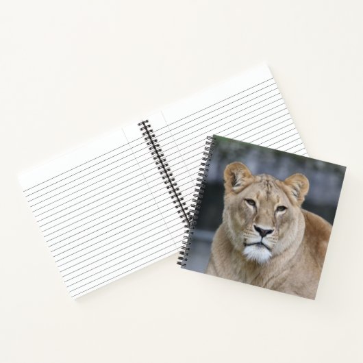 Lion 004 notitieboek (Binnen)