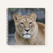 Lion 004 notitieboek (Voorkant)