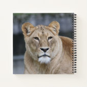 Lion 004 notitieboek (Achterkant)
