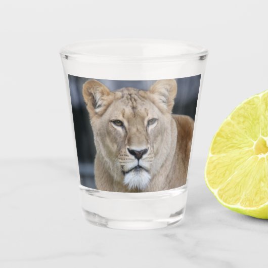Lion 004 shot glas (Voorkant)