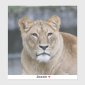 Lion 004 sticker (Vel)