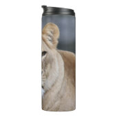 Lion 004 thermosbeker (Geroteerd rechts)