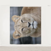 Lion 004 wandkleed (Voorkant)