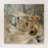 Lion 005 van JAMFoto Legpuzzel (Horizontaal)
