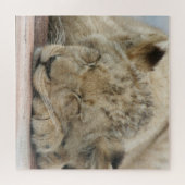Lion 009 van JAMFoto Legpuzzel (Horizontaal)