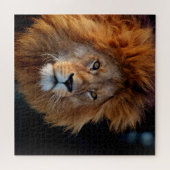 Lion 010 van JAMFoto Legpuzzel (Horizontaal)