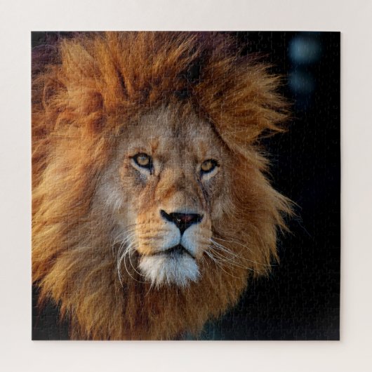 Lion 010 van JAMFoto Legpuzzel (Verticaal)