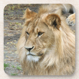 Lion 011 bier onderzetter