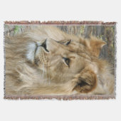 Lion 011 deken (Voorkant)