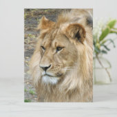 Lion 011 feestdagenkaart (Staand voorkant)