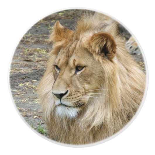 Lion 011 keramische knop (Voorkant)
