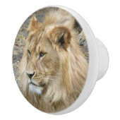 Lion 011 keramische knop (Rechts)