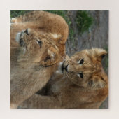 Lion 011 van JAMFoto Legpuzzel (Horizontaal)