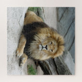Lion 012 van JAMFoto Legpuzzel (Horizontaal)