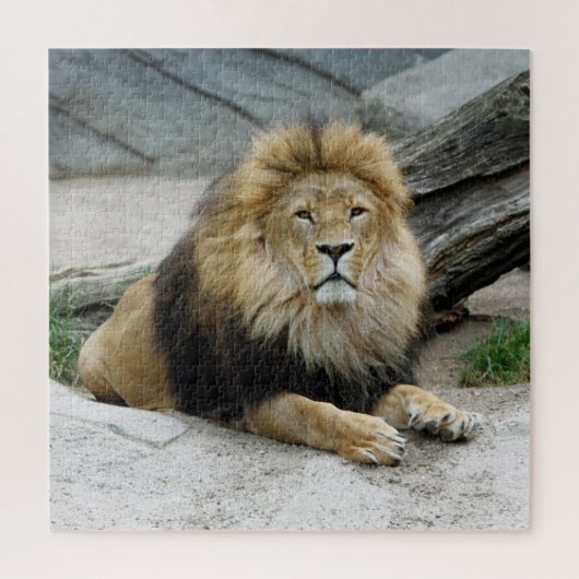 Lion 012 van JAMFoto Legpuzzel (Verticaal)