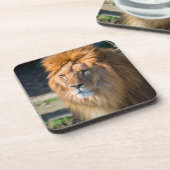 Lion 013 bier onderzetter (Linkerzijde)