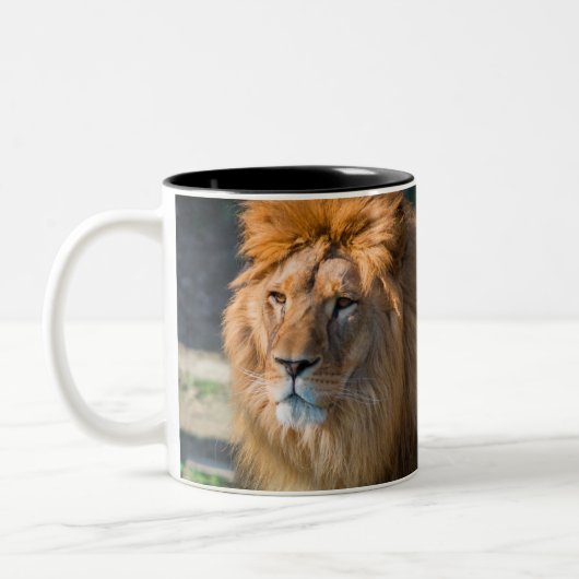 Lion 013 tweekleurige koffiemok (Links)