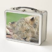 Lion 014 (Voorkant)