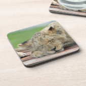 Lion 014 bier onderzetter (Linkerzijde)