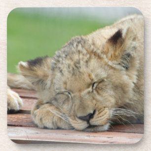 Lion 014 bier onderzetter