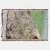 Lion 014 deken (Voorkant)