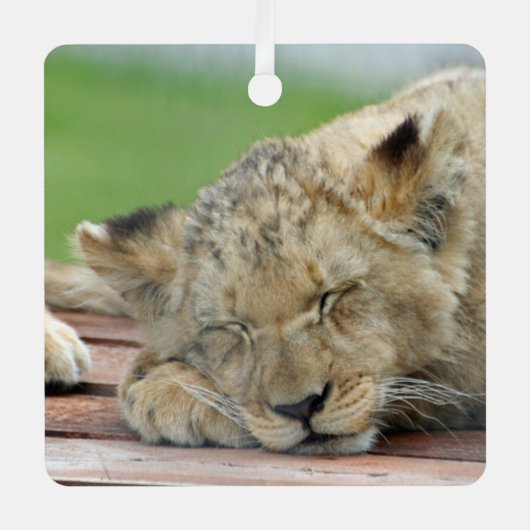 Lion 014 metalen ornament (Voorkant)