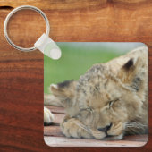 Lion 014 sleutelhanger (Voorkant)