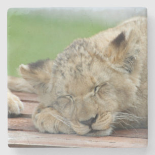 Lion 014 stenen onderzetter