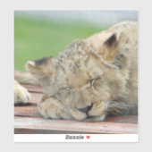 Lion 014 sticker (Vel)