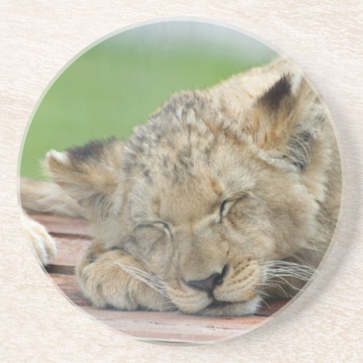 Lion 014 zandsteen onderzetter (Voorkant)