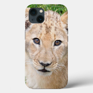 Lion 016 Case-Mate iPhone case