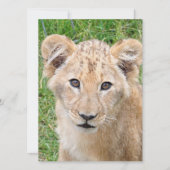 Lion 016 feestdagenkaart (Voorkant)