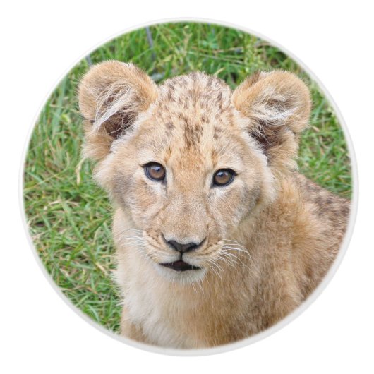 Lion 016 keramische knop (Voorkant)