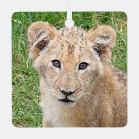 Lion 016 metalen ornament (Voorkant)