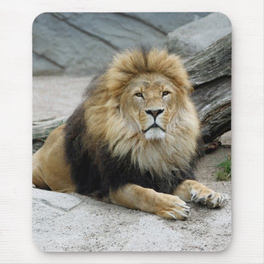 Lion 020 muismat (Voorkant)
