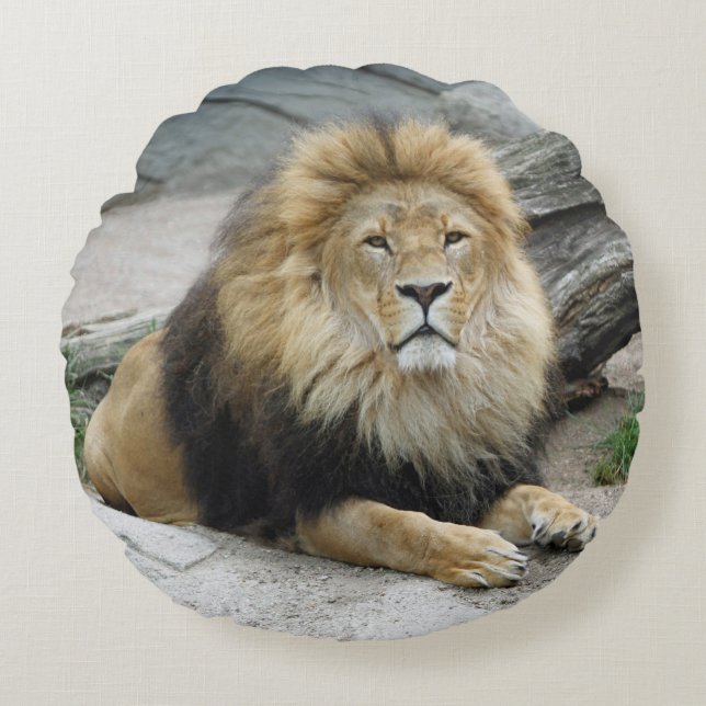 Lion 020 rond kussen (Voorkant)
