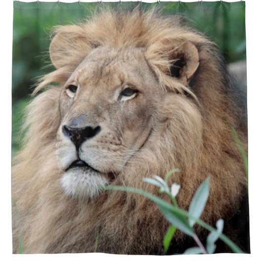 Lion 021 douchegordijn (Voorkant)