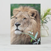 Lion 021 feestdagenkaart (Staand voorkant)