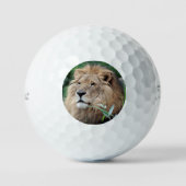 Lion 021 golfballen (Voorkant)