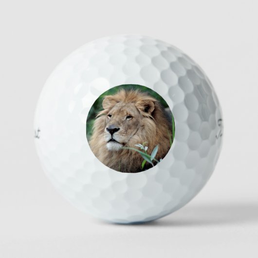 Lion 021 golfballen (Voorkant)