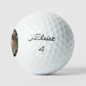 Lion 021 golfballen (Logo)