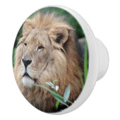 Lion 021 keramische knop (Rechts)
