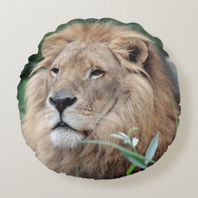 Lion 021 rond kussen (Voorkant)