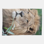 Lion 021 theedoek (Horizontaal)