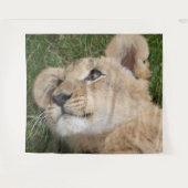 Lion 022 wandkleed (Voorkant (horizontaal))