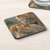 Lion 033 bier onderzetter (Linkerzijde)